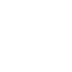 Eyes Up Disciples LLC (TM)